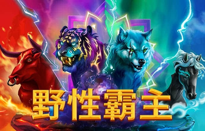 华体会体育